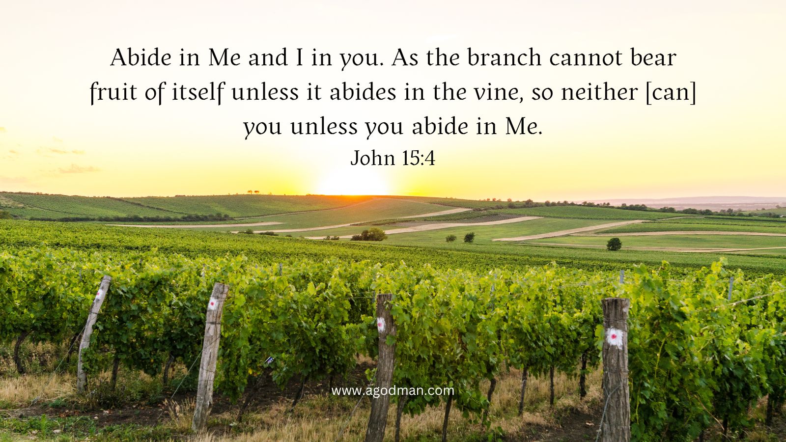 Abide in Me and I in you. As the branch cannot bear fruit of itself unless it abides in the vine, so neither [can] you unless you abide in Me. John 15:4